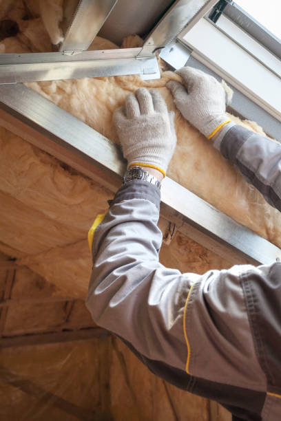 Types of Insulation We Offer in Rolesville, NC